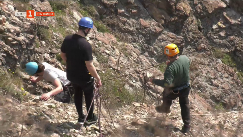 С помощта на "България в 60 мунити": Спасителната акция на овцете край с. Широко поле