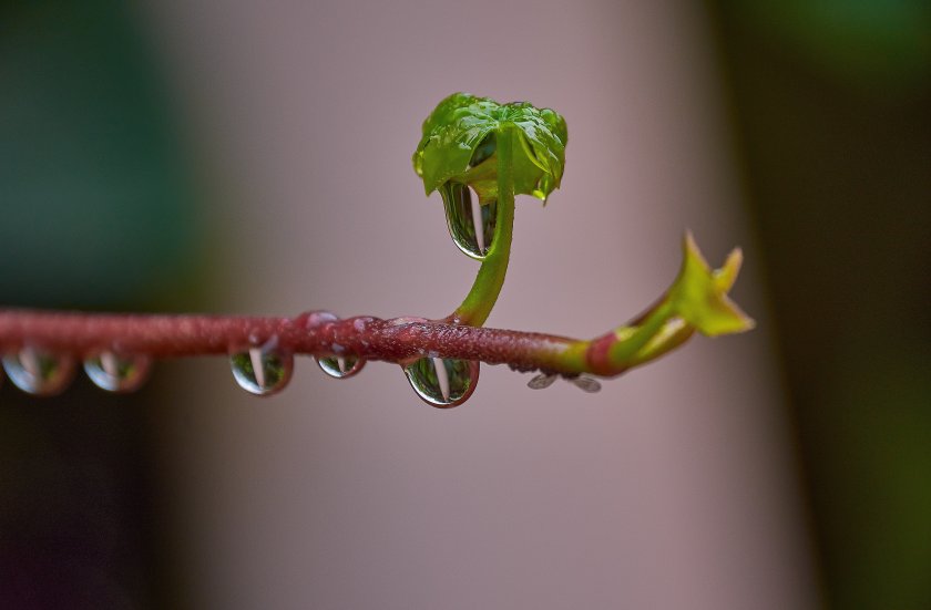 Понижение на температурите в началото на април