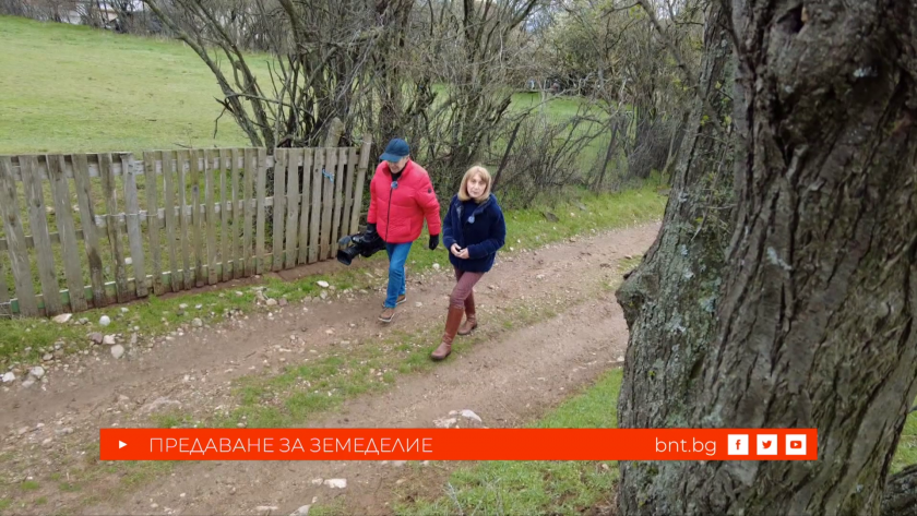 Как България се превърна в продоволствено зависима държава - 04.04.2026