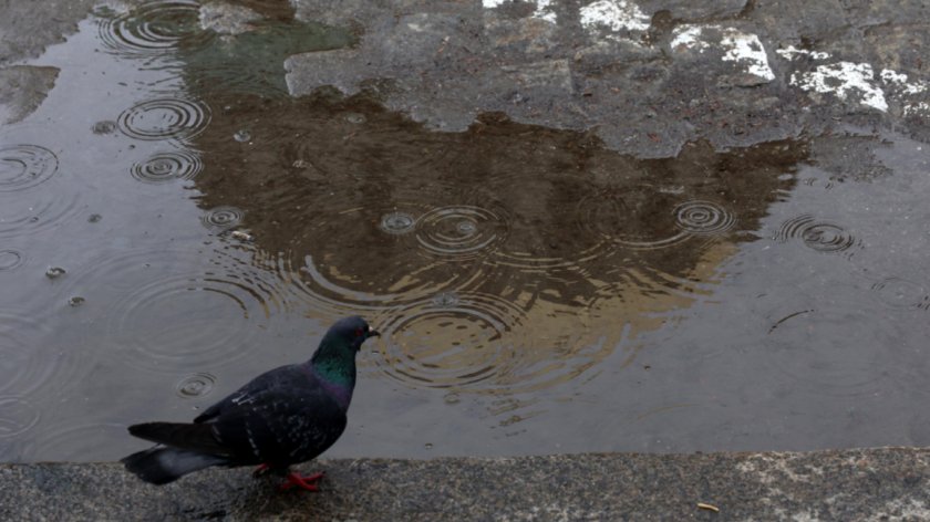 Днес ще бъде предимно облачно, с прекъсвания ще превалява дъжд