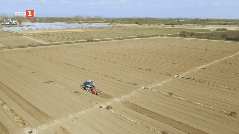Как България се превърна в продоволствено зависима държава
