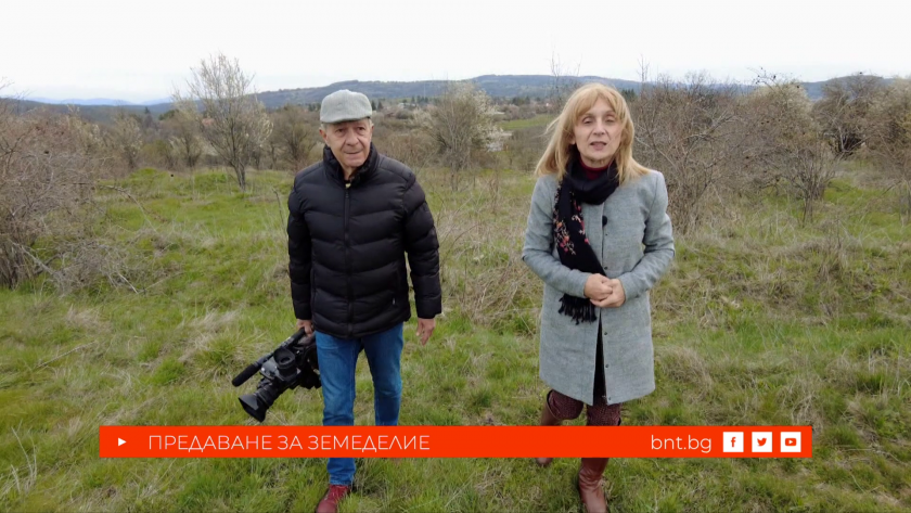 Три истории за размисъл - 18.04.2026