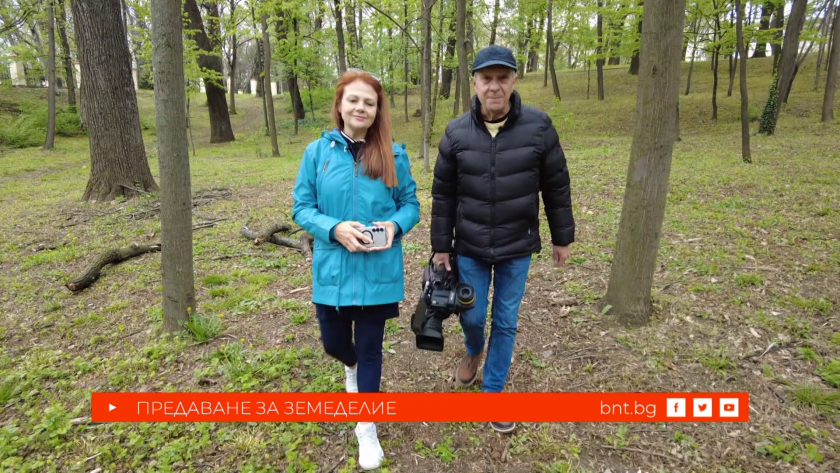 Възможни ли са супермодерни оранжери в България, 25.04.2026