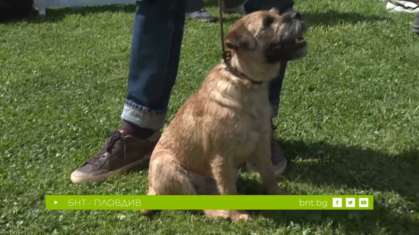Международни киноложки изложби в Димитровград - 02.05.2026