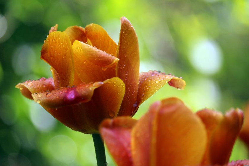 По-студено време ни очаква утре, валежите продължават