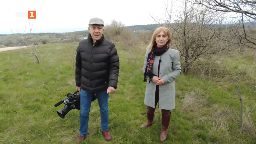 Три истории за размисъл