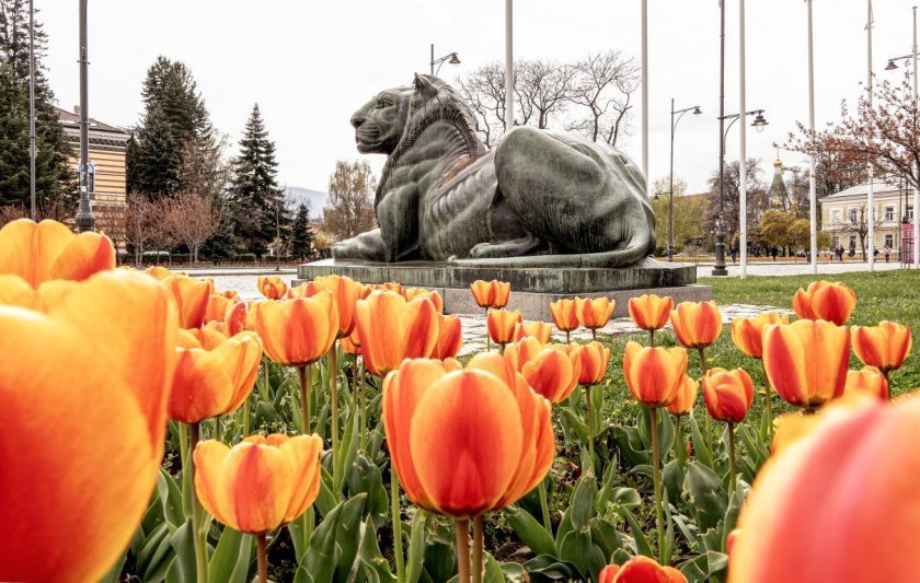 Седмицата ще започне с предимно слънчево време
