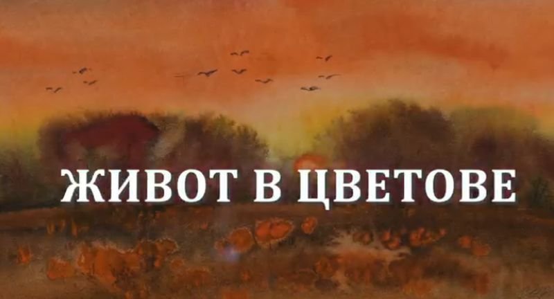 Живот в цветове