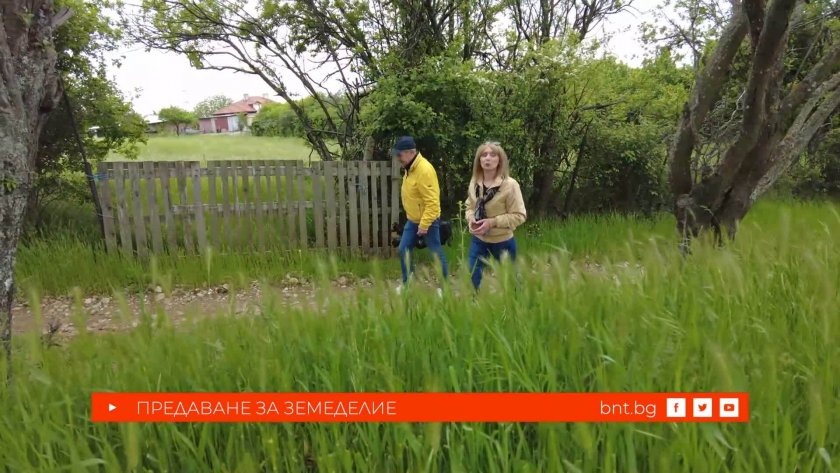 Скейтър‑градинарят, който мечтае за училище на село - 23.05.2026