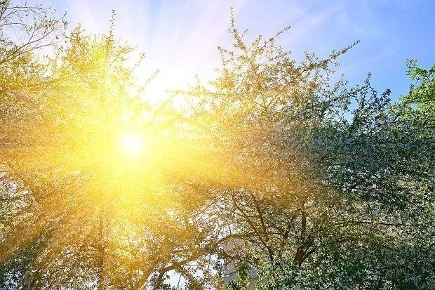 Променливо време &ndash; слънце, дъжд и гръмотевици