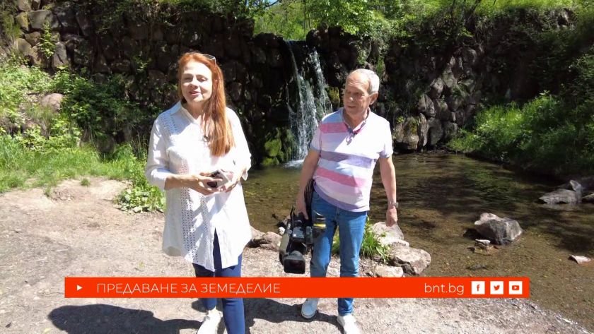 Богатствата на фермерските деца, 30.05.2026