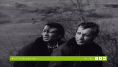 Произшествия на сляпата улица: Прилепите летят нощем