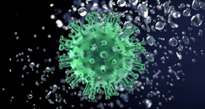 Coronavirus in Bulgaria: 179 new cases, total is at 16,954