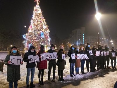 Sofia lights up the Christmas tree (video)