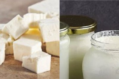 Bulgaria applies to register "Bulgarian yoghurt" and "white brined cheese" in the list of protected designations of origin of the EU