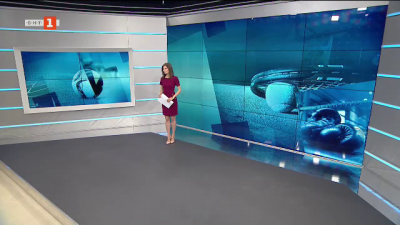 Спортна емисия, 12:30 &ndash; 19 март 2021 г.