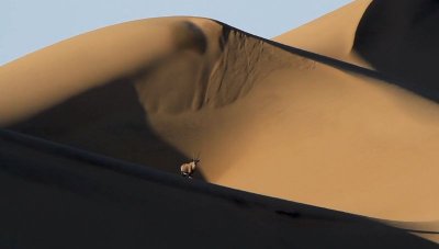 Диаманти в пясъка