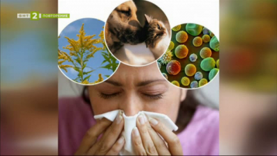 Алергиите и как да се справим с тях