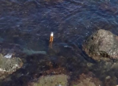 A military munition washed up on the beach near Arapya