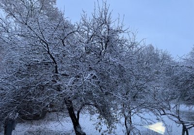 Bad weather causes power outages in villages in Kyustendil district
