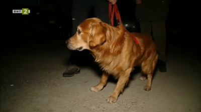 Спасители. Не всички герои са хора