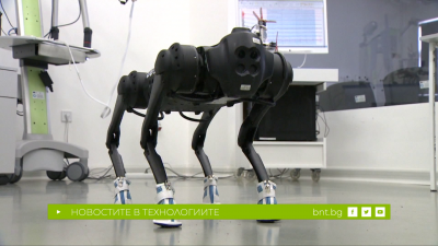 Куче-робот е новият член на лабораторията по "Изкуствен интелект и CAD системи" в София Тех Парк