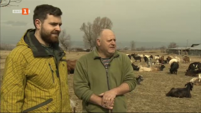 Истории за ината и любовта