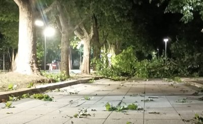 A powerful storm hit Northwestern Bulgaria during the night