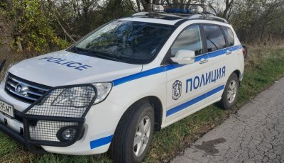 Police detained nine migrants after a road accident in Sofia