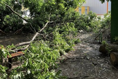 Last night's storm left four settlements in Northwestern Bulgaria without electricity