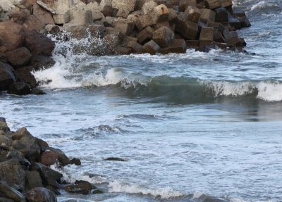 No evidence of pollution in the Bulgarian Black Sea area after Kakhovka dam destruction in Ukraine