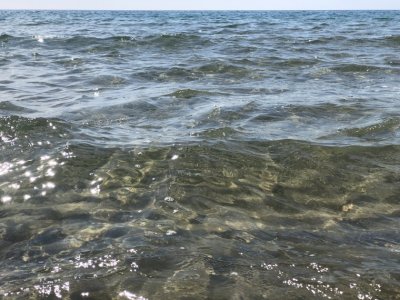 Water temperature along northern Black Sea coast dropped to 10° due to upwelling phenomenon