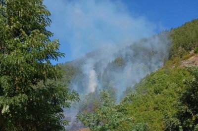 Fire rages in a mixed forest near the village of Varbina, Southern Bulgaria