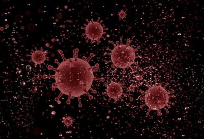 Coronavirus in Bulgaria: 586 new cases