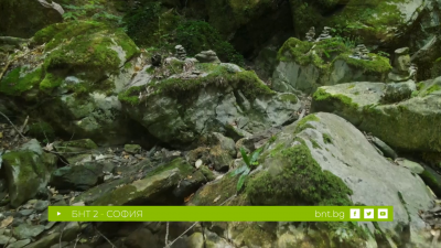 Скалата на прогледналите