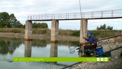 Шаранът, който всички искат да хванат