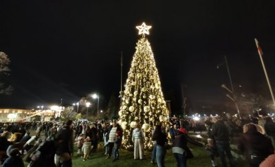 Sofia lights up the Christmas tree (see pics)