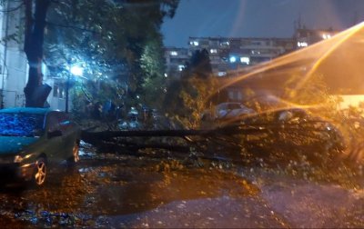 Woman killed by falling tree branch during hurricane wind in Varna, residents advised not to go out unless necessary