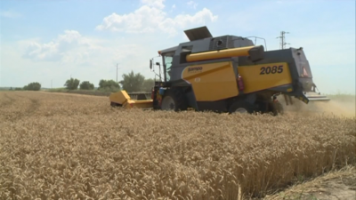 Grain farmers demand meeting with the government over problems in the sector