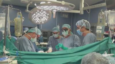 22 organ donor situations in 2023 in Bulgaria