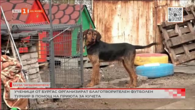 Ученици от Бургас организират благотворителен футболен турнир в помощ на приют за кучета