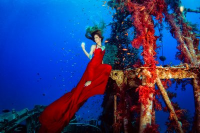 Красотата на подводната фотография