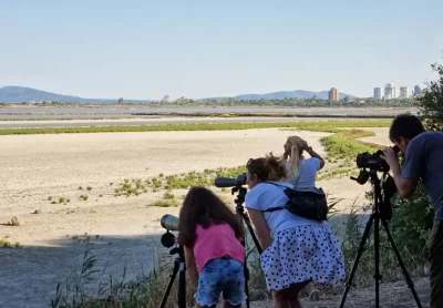 First greater flamingo chicks hatched in Bulgaria's Atanasovsko lake near Bourgas