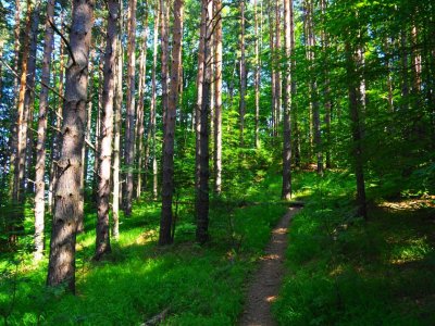 Превалявания в Северна и Източна България и слабо захлаждане