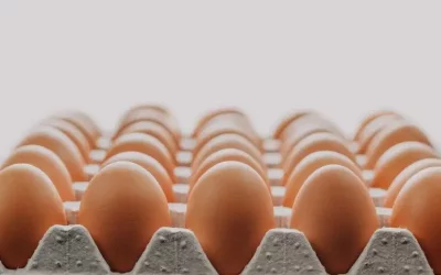 Bulgaria has asked the European Commission for temporary suspension of imports of eggs from Ukraine