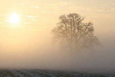 Температури между 10° и 15°, по-ниски в местата с трайна мъгла