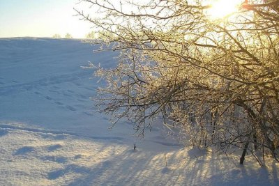 Чувствително по-топло и слънчево време около Нова година