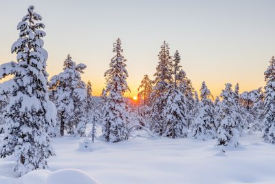 Слънце в следобедните часове ни очаква днес