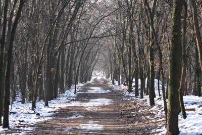 По-топло в понеделник