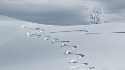 Сняг ще продължава да вали, време е за ски